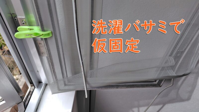 新しい網戸ネットを洗濯ばさみで固定する